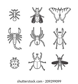 Set of vector line insects volume 1