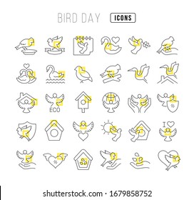 Set vector line thin icons of bird day in linear design for mobile concepts and web apps. Collection modern infographic pictogram and signs.