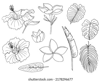 set of vector line tropical flowers, coloring page