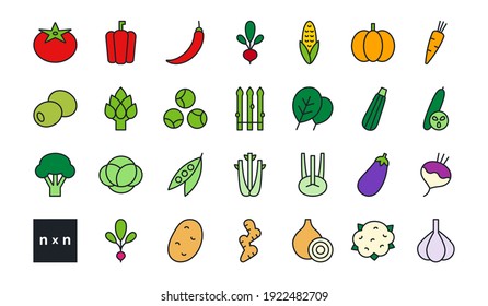 Set of vector linear color icons. Vegetables. Contour, shape, outline isolated on white. Thin line. Modern design. Healthy food and vitamins