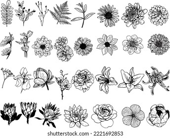 A set of vector, linear, hand-drawn floral sketches. The set is suitable for creating designs for postcards, invitations, business cards in a vintage gentle style.