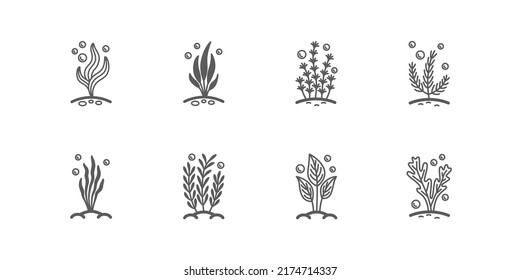 Set of vector linear icons with aquarium algaes with bubbles. Isolated black pictogram collection with water plants on a white background. Outline signs for web