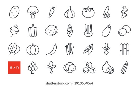 Set of vector linear icons. Vegetables. Contour, shape, outline. Thin line. Modern minimalistic design. Healthy food and vitamins