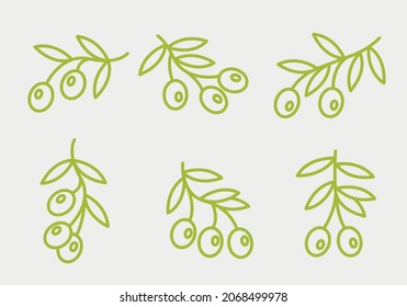 Set of vector linear olive branches for logos, icons, symbols