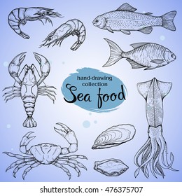 Set of vector linear sketches of various seafood isolated on a white background. Figures handmade: fish, lobster, shrimp, squid, crab.