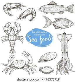 Set of vector linear sketches of various seafood isolated on a white background. Figures handmade: fish, lobster, shrimp, squid, crab.