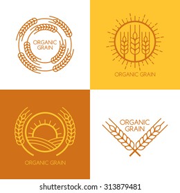 Set of vector linear wheat, fields logo design template. Abstract concept for organic products, harvest, grain, bakery, healthy food.