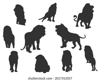 Set vector of the Lion, The shadow of different poses isolated on white background.