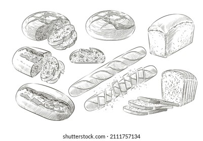 Set of vector loaf of bread. French baguette. Slices and crumbs. Rye rounde rustic bread or whole grain baked bread. Logo, icon. Sketch realistic line vintage illustration