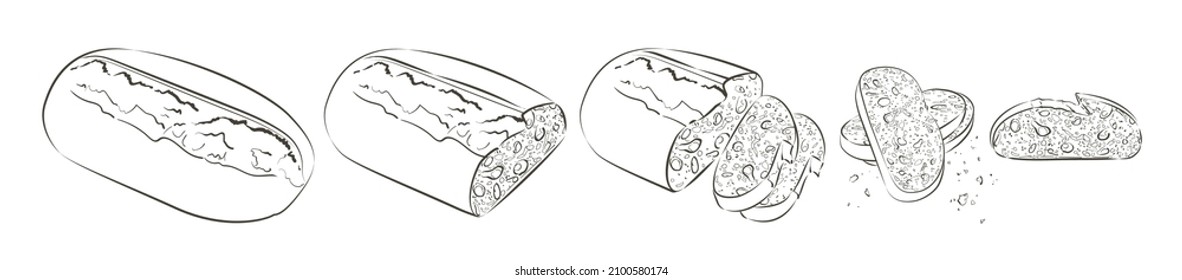 Set of vector loaf of bread. Slices and crumbs. Rye rustic bread or whole grain baked bread. Logo, icon. Sketch realistic line vintage illustration