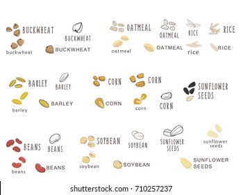 Set of vector logo elements for healthy food, raw food, vegetarian. Grain and Cereals. Beans, corn, oatmeal, rice, soybean peas  