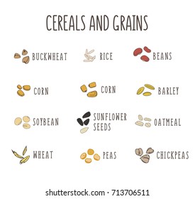 Set of vector logo elements for healthy food, raw food, vegetarian. Grain and Cereals. Beans, corn, oatmeal, rice, soybean peas  