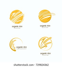 Set of vector logo, label or package circle emblem with yellow rice, wheat, rye grains. Hand drawn design template for asian agriculture, organic cereal products, bread and bakery.