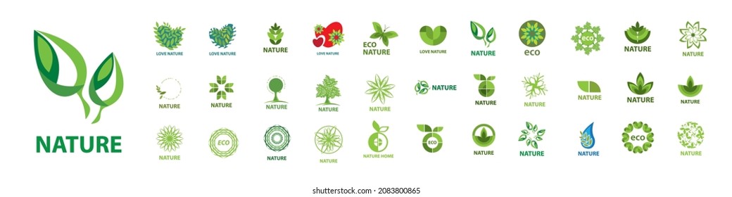 A set of vector logos of eco and nature on a white background