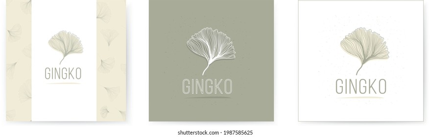 Set of vector logotype with ginkgo biloba leaf in minimal line art style. Soft green color and pattern on background. Template design, print and logo. Natural symbol of health and medicine. Tree.    