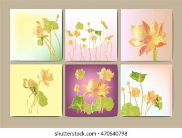 Set vector lotus stripes background for text.
