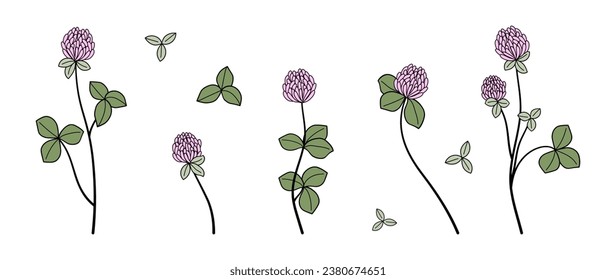 Set of vector luxury pink clover flowers and leaves. trendy twigs botanical elements on white background. Hand drawn elements. Wedding elegant wildflowers for invitation, decor, design, print.	