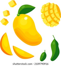 Set of vector mango slices. Mango fruit illustration. Mango pieces with leaves.