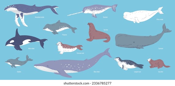 Conjunto de mamíferos marinos vectoriales aislados en fondo azul con títulos. Ilustraciones vectoriales de animales salvajes como ballena azul, delfín, ballena blanca, nutria marina, cachalot, leopardo marino.