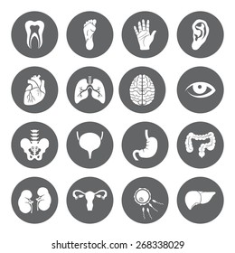 Set of vector Medical Icons with human organs in flat style. 