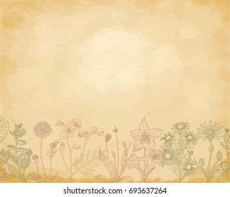 Set of vector medicinal herbs, flowers, plants, spices, fruits. Illustration of hand drawn 
 botanical Vintage Medicinal and Poisonous Plants color sketch set on grunge and shabby background.