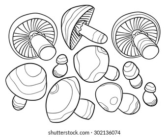 set of vector mushroom - drawing for design 