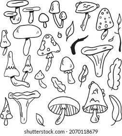 set of vector mushrooms fly agaric forest mushrooms pattern wallpaper vector plants graphics black mushroom chanterelle truffles oyster mushrooms