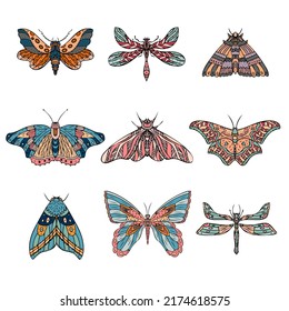 Set of vector night butterflies, dragonfly, moths. Hand drawn illustration