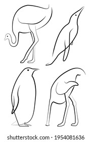 Set of vector non-volant birds. Penguin and ostrich in line drawings. Images in different positions - head in sand, standing, swimming.
