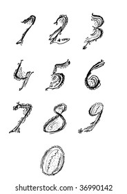 set of vector numbers