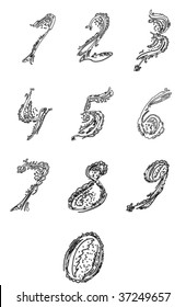 set of vector numbers