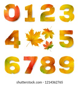 Set of vector numbers made from autumn leaves, isolated on white background 