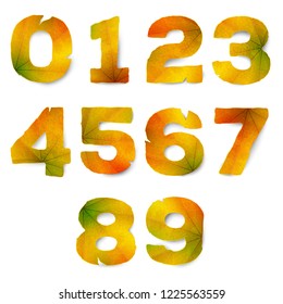Set of vector numbers made from autumn leaves, isolated on white background 