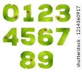 Set of vector numbers made from green leaves, isolated on white background