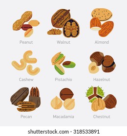 Set of vector nuts in flat design | Cool collection of edible nuts icons featuring hazelnut, peanut, chestnut, pistachio, pecan, cashew and more