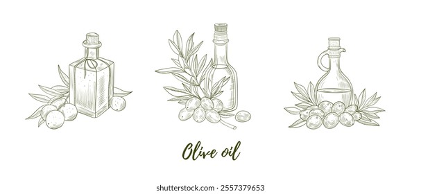 Set of vector olive oil bottles with olives and olive branch line art illustration, graphic line art. Elegant line botanical illustration. Great for any designs, textile, art, walls, package