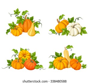 Set of vector orange pumpkins and leaves isolated on a white background.