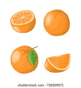 Set of vector orange. Whole, sliced, half of a orange fruit isolated on white background. Vector illustration.