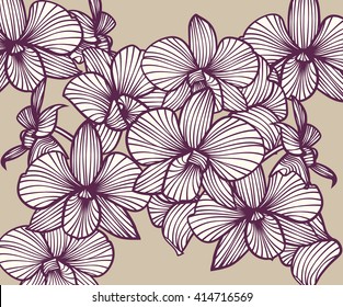 Set of vector orchids. Isolated orchids on a light background