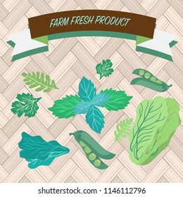 Set of vector Organic and fresh hand-drawn fresh herbs. Green culinary herbs coriander, green peas , arugula and peppermint on bamboo background
