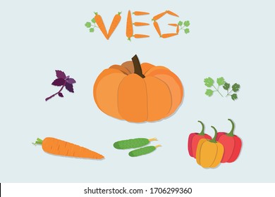 Set of vector organic vegetables and herbs. Pumpkin, carrot, cucumber, pepper, basil and cilantro.