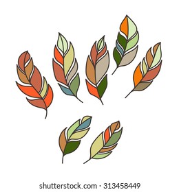 Set of vector ornate intricate feather. Doodle. Zentangle