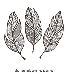 Set of vector ornate intricate feather. Doodle. Zentangle