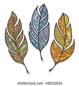 Set of vector ornate intricate feather. Doodle. Zentangle
