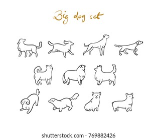 Set of vector outline dogs, isolated on white background. Cartoon style.