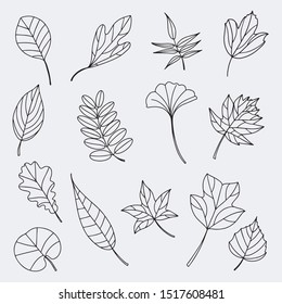 set of vector outline fallen leaf in black and white style,  Autumn cozy line set. For print cup, textile, wallpaper, banner, fabric, web, scrapbook, cover of notebook. 