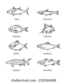 Set of vector outline fish icons. Vector flat collection