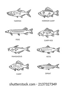 Set of vector outline fish icons. Vector flat collection