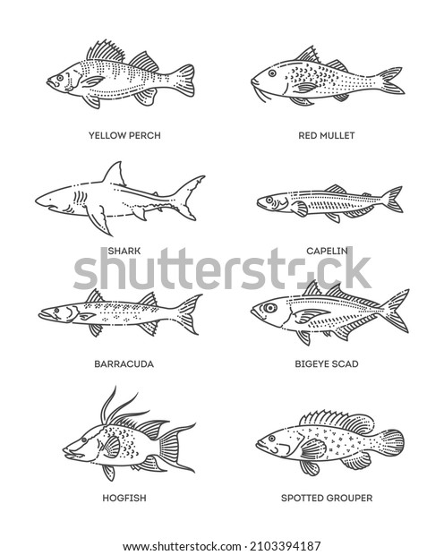 Set Vector Outline Fish Icons Vector Stock Vector (Royalty Free ...