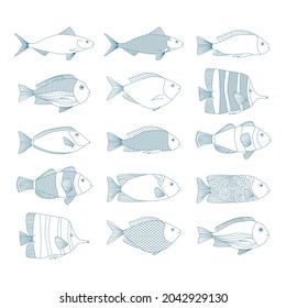 Set of vector outline fish illustrations. Sea blue icons. 